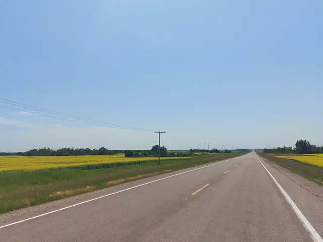 Highway 310 through canola fields